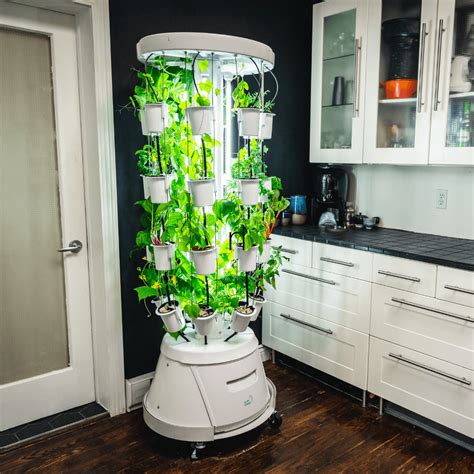 Hydroponic gardening indoor. Things To Know About Hydroponic gardening indoor. 